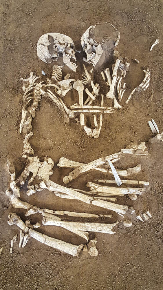 skeletons embracing