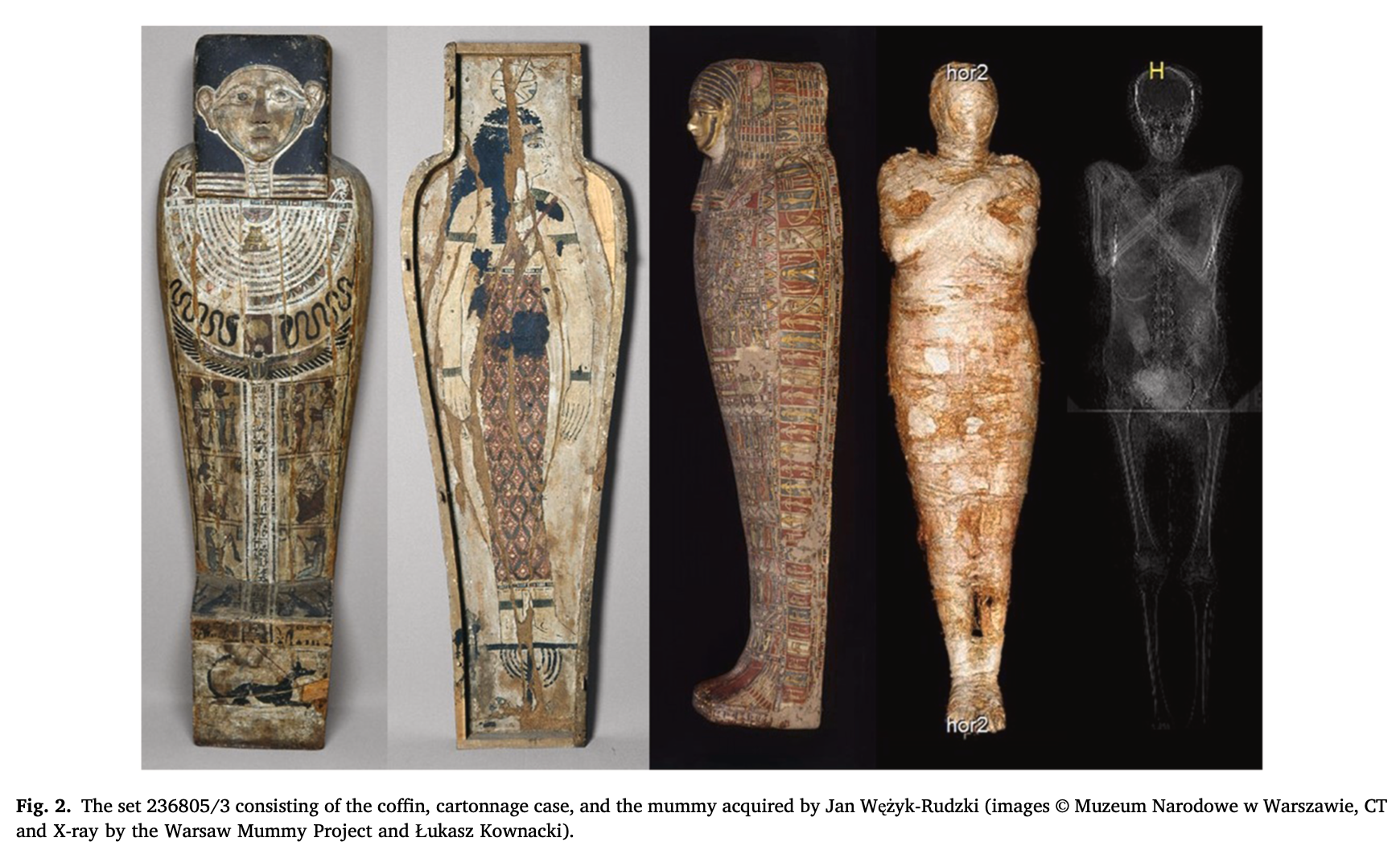 coffin cases and a mummy