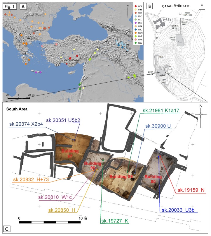 DNA analysis in ancient Turkey